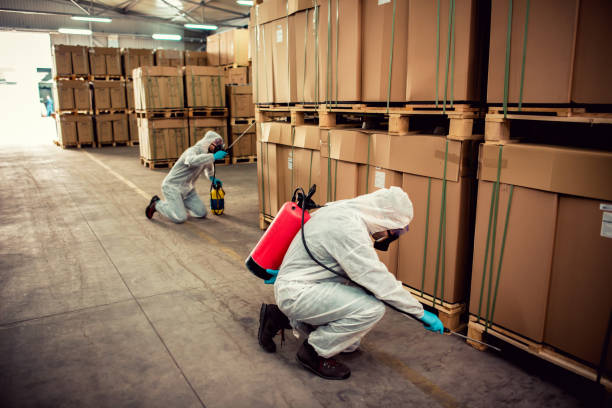 Flea Control Services in Conway, PA
