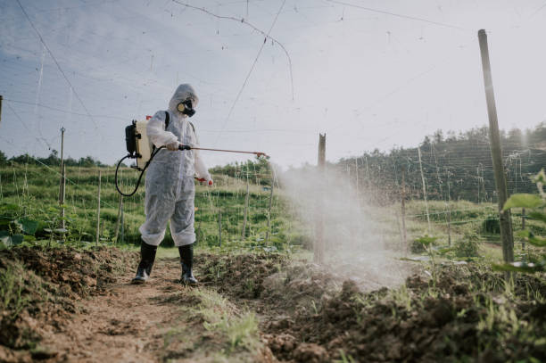 Best Commercial Pest Control Services  in Conway, PA