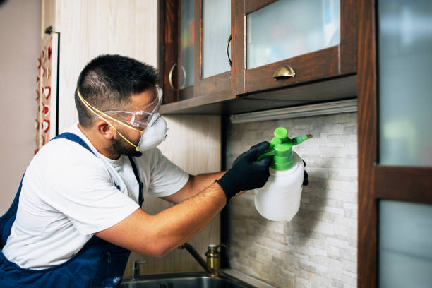 Professional Pest Control in Conway, PA
