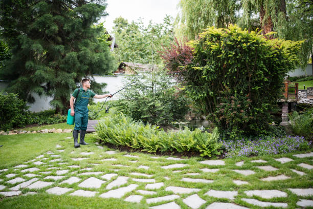 Best Local Pest Control Services  in Conway, PA
