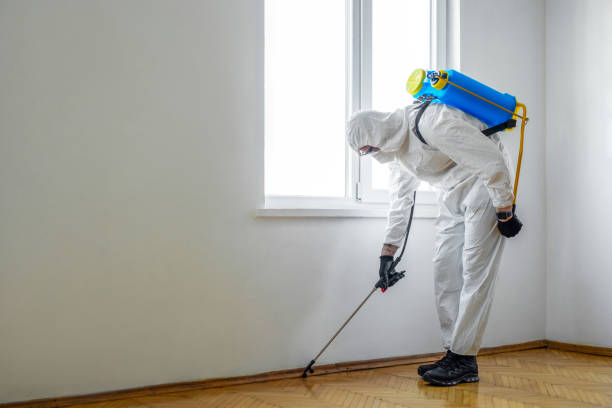 Wildlife Control Services in Conway, PA
