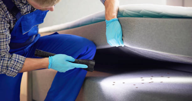 Best Bed Bug Extermination  in Conway, PA