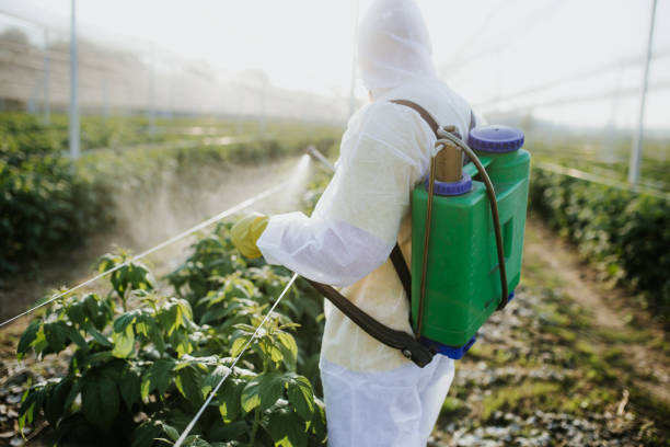 Best Affordable Pest Control Services  in Conway, PA